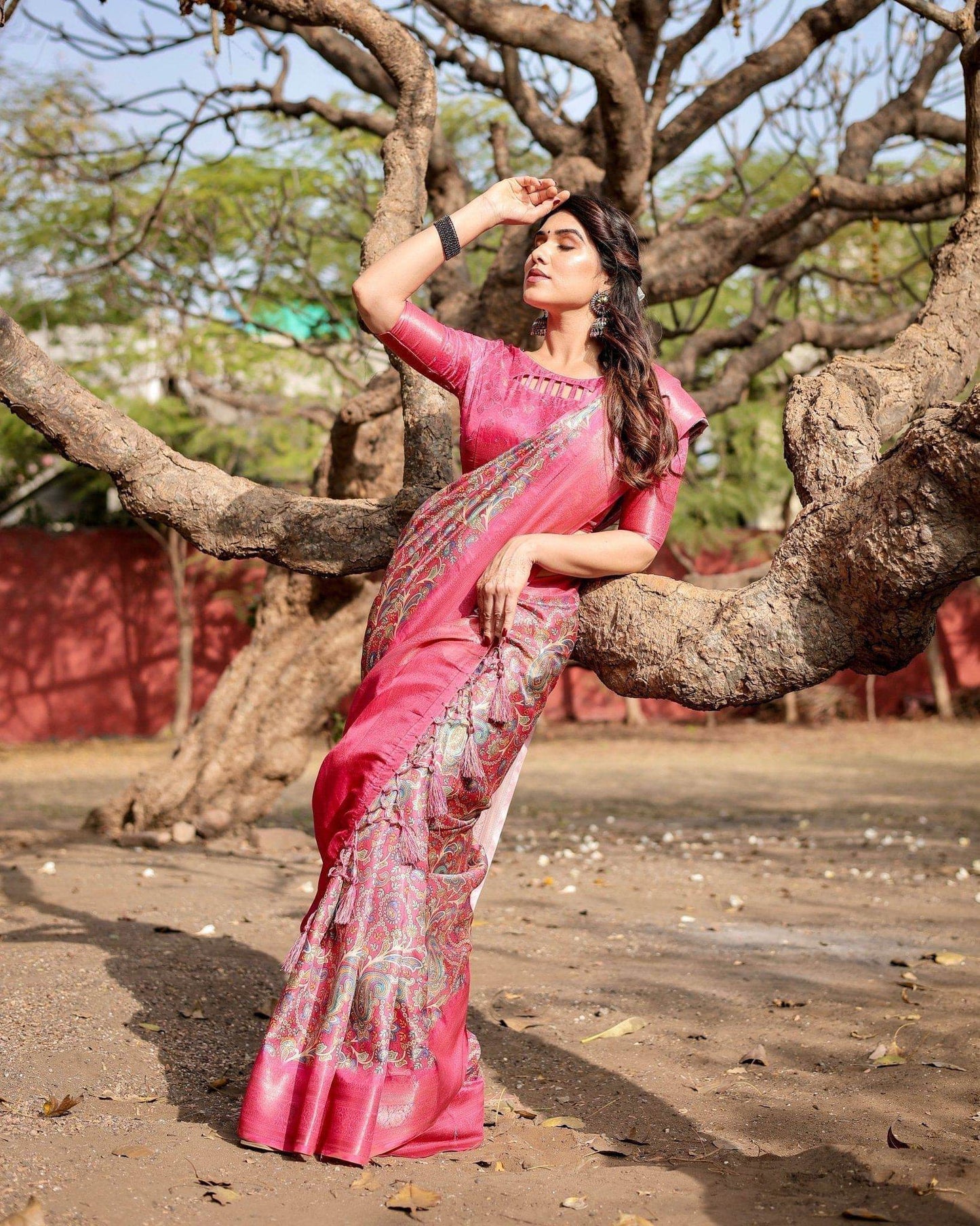Elegant Pink Banarasi Silk Saree with Paisley Design, Zari Weaving, and Tassels - SEEANS