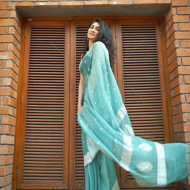 SEEANS Bollywood Hit Linen Soft Saree | Royal Weaving Design - SEEANS