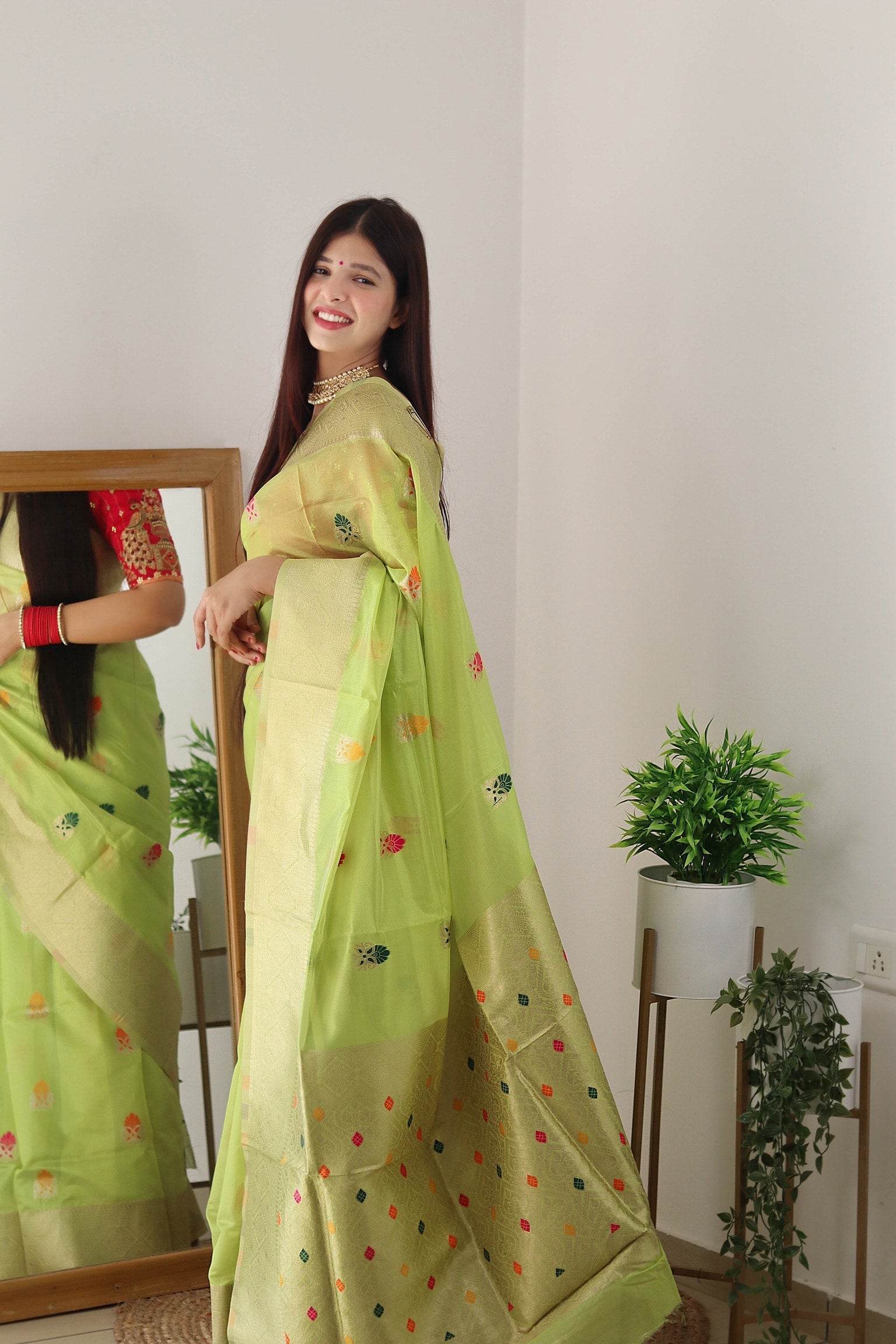 Pure Organza Minna Work Banarasi Saree | Vintage Royal Elegance - SEEANS