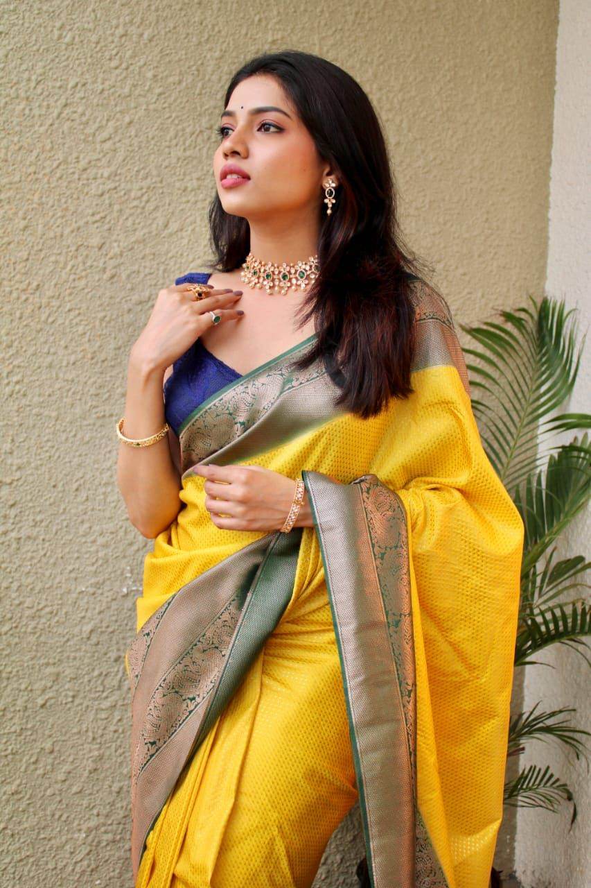 KANJIVARAM Soft Lichi Silk Saree with Vintage Design | Elegant Look - SEEANS