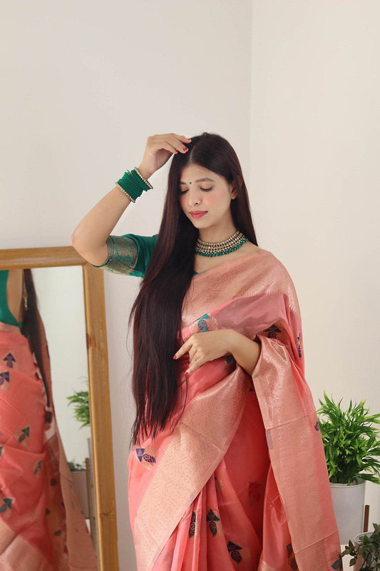 Pure Organza Minna Work Banarasi Saree | Vintage Royal Design - SEEANS
